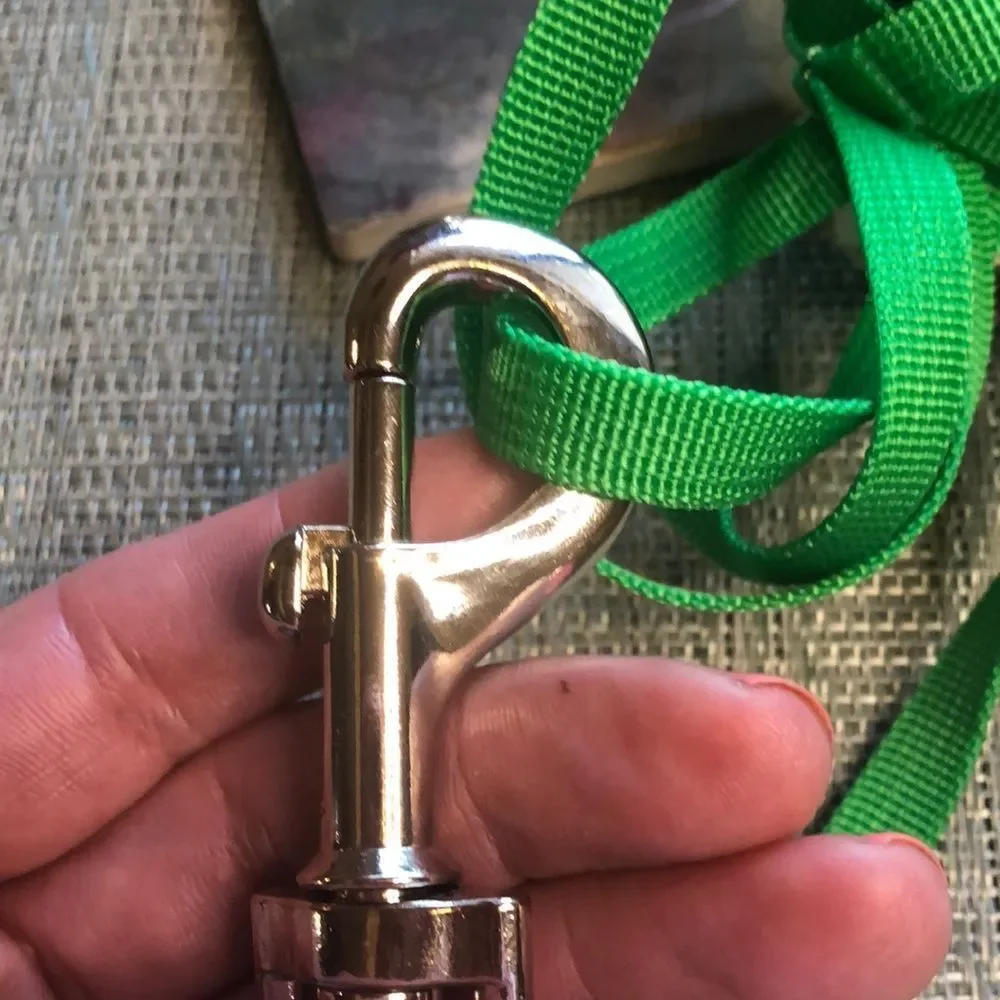 🐾Dog Leash and Detachable Bow Set in Sparkles🐾
